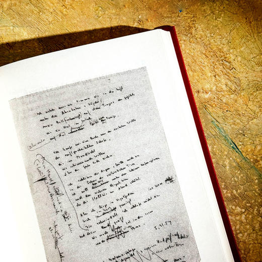 只有一朵玫瑰支撑 希尔德 多敏诗选 20世纪影响深远的德语女诗人 国内首次译介 商品图11