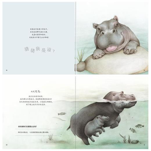 童书《你好！动物宝宝》（共6册）-分销 商品图8