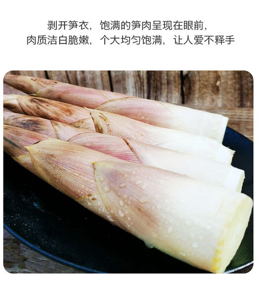 【分销】春天必吃！临安天目山春笋临安天目山春笋（雷笋），清晨现挖直发，一年仅45天黄金采挖期，错过再等一年，时令美味，京东/顺丰 商品图2