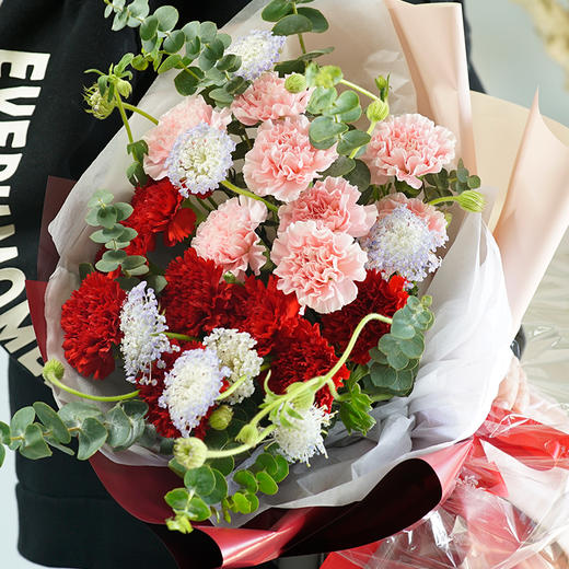 天使之翼丨康乃馨混搭花束 商品图3