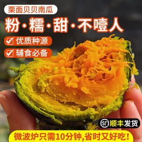 【密农特色 必买榜单】进口种源  农家贝贝南瓜  粉糯香甜  适合做辅食 1斤