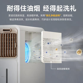 【德国厨房冰雾扇】德国蓝宝专用电风扇小空调冷风机家用防油烟制冷非壁挂水冷