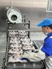 胖头鱼鱼头整个1.25千克左右 商品缩略图4
