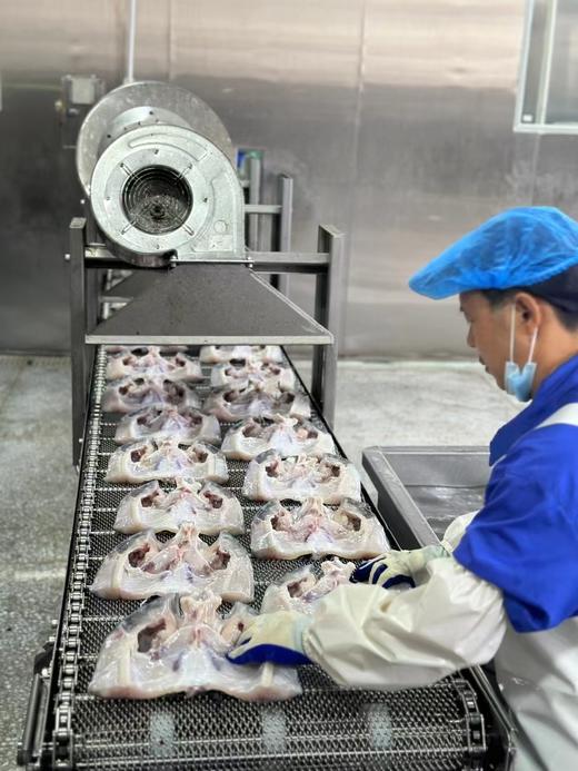 胖头鱼鱼头整个1.25千克左右 商品图4