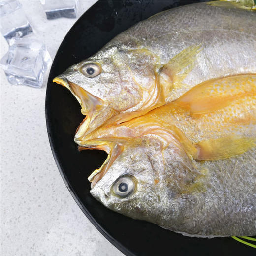 风味微咸黄鱼鲞 2条约375g/袋 商品图2