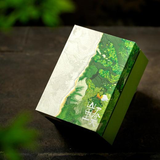 山里春天【通版 单罐＋杯】26元一套/一件24套 商品图5