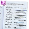 【中商原版】现代书法和毛笔字体初学者指南 A Beginners Guide to Modern Calligraphy Brush Pen 英文原版 Maki Shimano 商品缩略图2