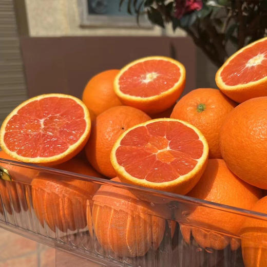 新鲜水果 果肉红润 中华红血橙  3斤装/5斤装 【5斤十堰主城区包邮】 商品图7