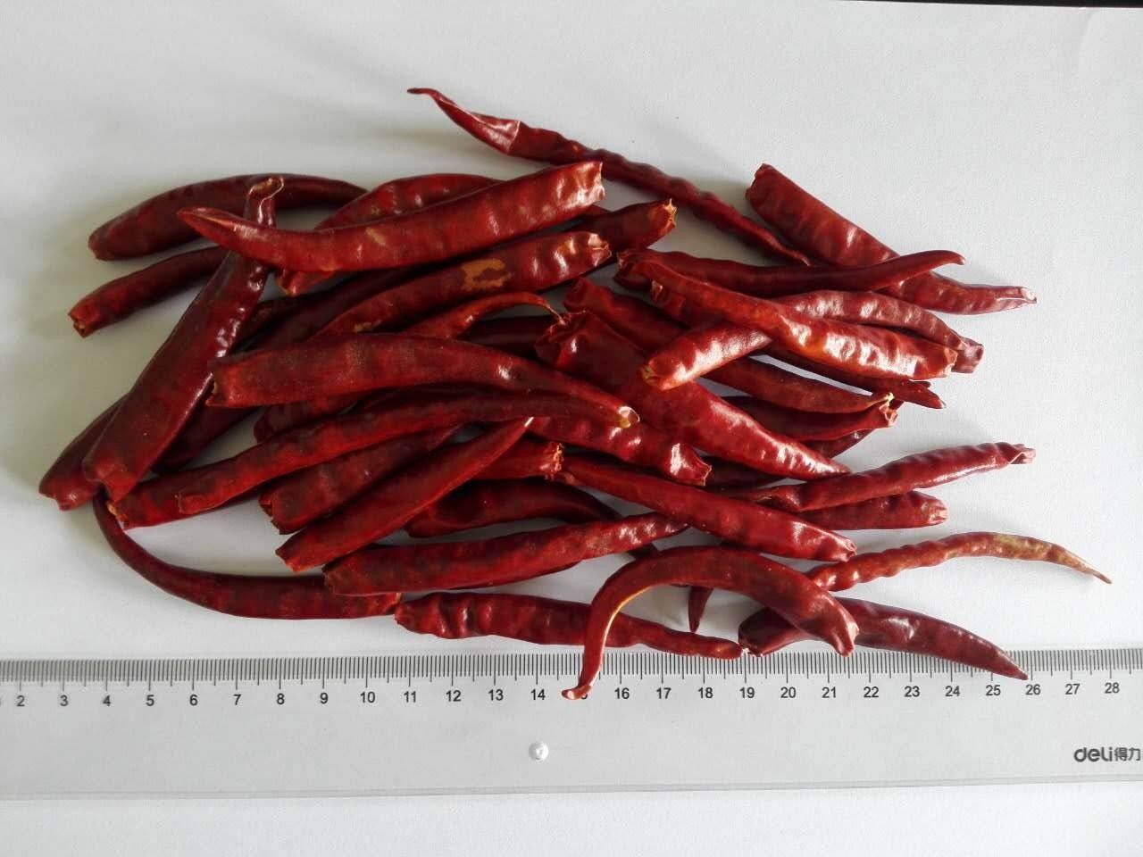 鍘绘焺杈ｆ骞?1?7jpg