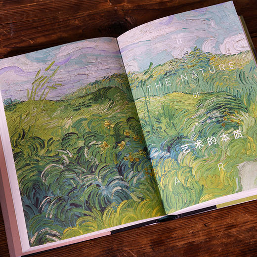 美是进化的奖励：从孔雀尾巴到蒙娜丽莎 陈水华 一部颠覆认知的“审美进化论” ，美不是偶然，是生命进化的选择 人文艺术 商品图3