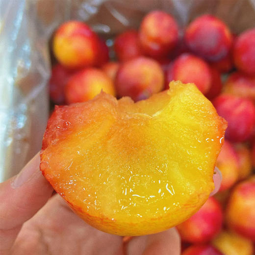 进口珠宝李 约500g/份 商品图3