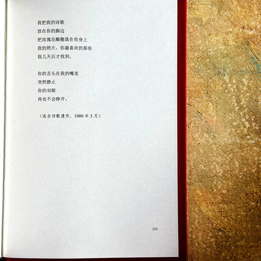 只有一朵玫瑰支撑 希尔德 多敏诗选 20世纪影响深远的德语女诗人 国内首次译介 商品图14