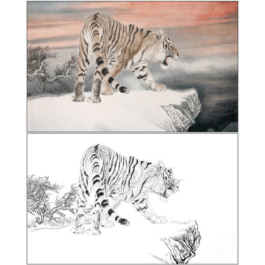 冯大中 老虎 工笔画白描底稿《晚霞》动物临摹勾线高清打印稿DZ14 商品图0