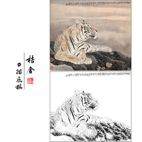 冯大中 老虎 工笔画白描底稿《远瞩》动物临摹勾线高清打印稿DZ12