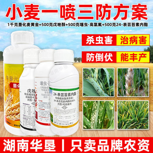 小麦一喷三防20亩24表芸苔素内酯药剂套餐三遍老牌子专用农用正品 商品图4