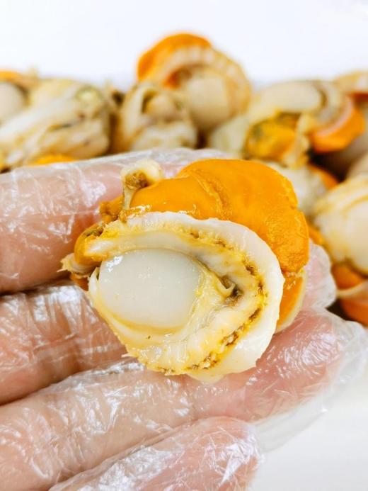 400g*4袋只要59.9原价要卖到89抓紧入手栉孔扇贝肉半滴冰衣都没有每一个都满膏满黄新鲜基地直邮 商品图3