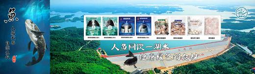 胖头鱼鱼头整个1.25千克左右 商品图9