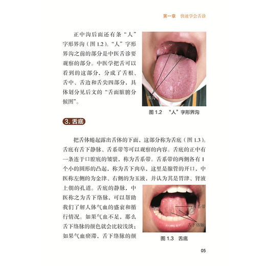 图解舌诊 舌尖上的健康奥秘 徐琬梨 李毓秋 张磊编 快速学会舌诊 了解舌的形态结构 观察舌象的要求9787515229034中医古籍出版社 商品图4