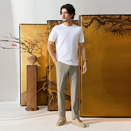 【中华立领】柒牌短袖T恤男夏季新款时尚休闲伊力特圆领印花体恤128T72660 商品图3