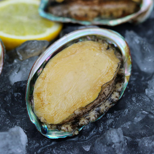 活冻野生大连鲍10只装 商品图0