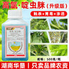 升级版高氯啶虫脒杀虫剂大田小麦果树柑橘蚜虫专用农用杀虫剂正品 商品缩略图3