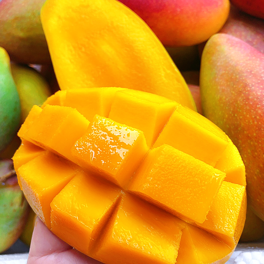 『海南树上熟贵妃芒』香浓奶味，皮薄多汁，柔糯爽口