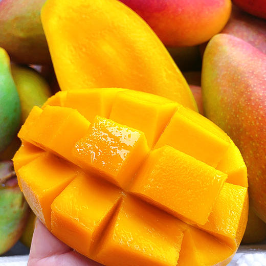 『海南树上熟贵妃芒』香浓奶味，皮薄多汁，柔糯爽口 商品图0