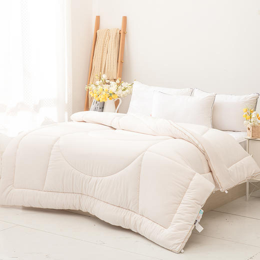 春秋被/冬被/子母被【会员专享】多喜爱 甄芯暖意大豆春秋被/冬被/子母被【大豆纤维】【蓬松饱满】【磨绒面料】【抑菌呵护】 商品图2