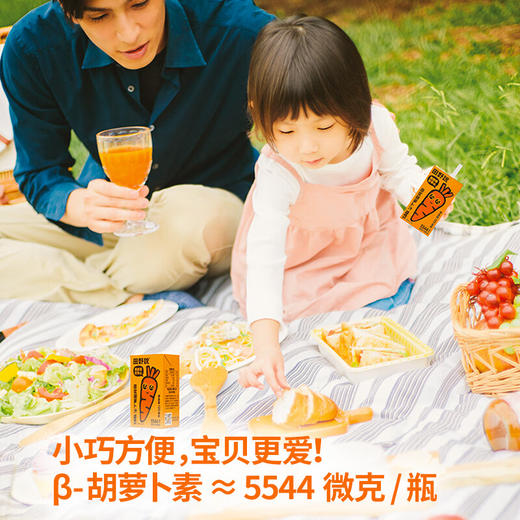 【分仓直发包邮】田野说100%原浆胡萝卜汁（迷你装）125ml*16盒/箱 商品图5