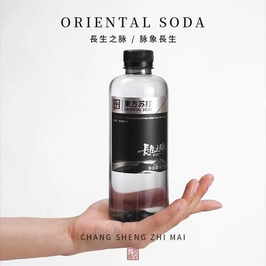 长生之脉克东天然苏打水475ml 商品图0