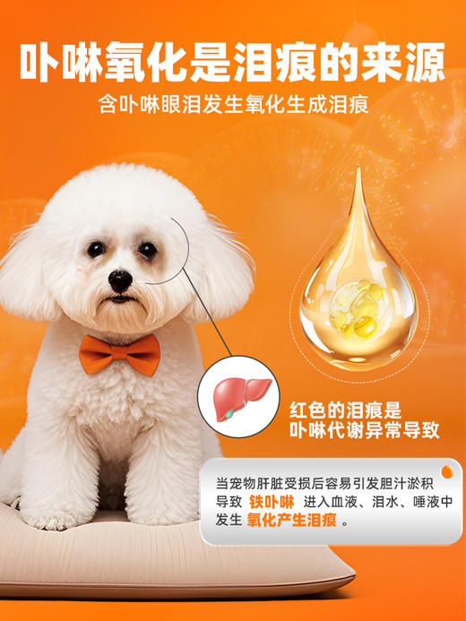 【65元任选2件】普安特猫咪去泪痕狗狗流眼泪非宠物眼药水泪痕液眼部护理无影宝 商品图1