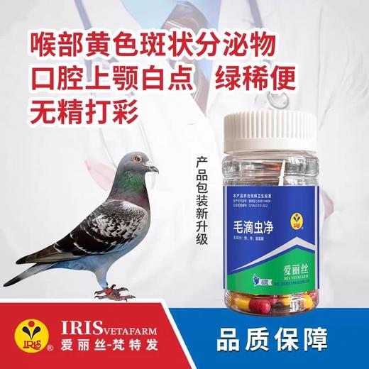 【毛滴虫净】胶囊60粒，毛滴虫净/口黄/鸽滴虫（爱丽丝） 商品图0