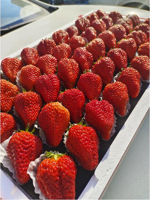 巨无霸大板草莓一箱 商品图0