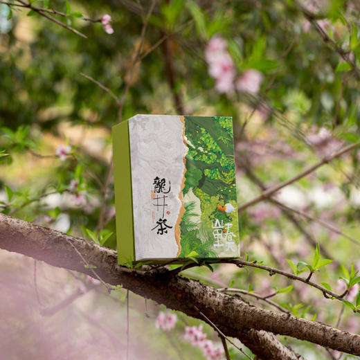 山里春天【龙井 单罐+杯】26元一套/一件24套 商品图4