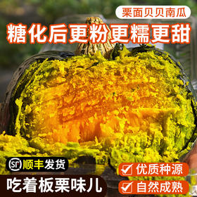 【密农特色 必买榜单】栗面贝贝南瓜！粉糯香甜  辅食必备  3斤/5斤