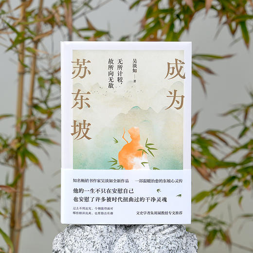 成为苏东坡 商品图3
