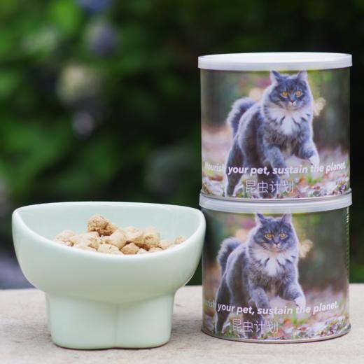 昆虫计划宠物粮·猫主食冻干 商品图1