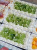 春日盒子 商品缩略图8