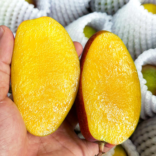 『海南树上熟贵妃芒』香浓奶味，皮薄多汁，柔糯爽口 商品图7