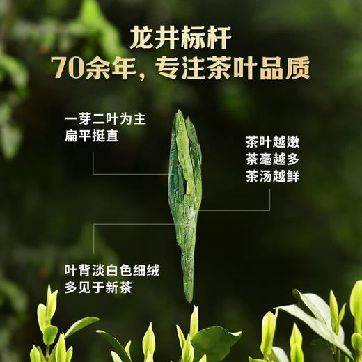 【1件包邮】中茶纸包龙井一级200g 鲜爽甘甜齿颊留芳 甘肃/青海/内蒙古/新疆/西藏/宁夏/海南/港澳台不发货 商品图2