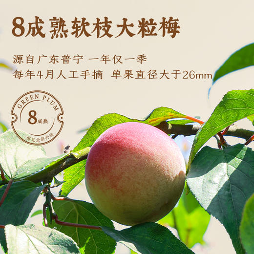 12度梅见青梅酒750ml - 【一件包邮】新老包装随机发货 商品图4