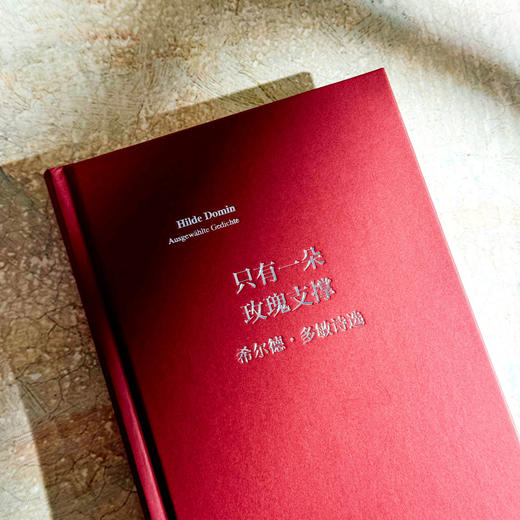 只有一朵玫瑰支撑 希尔德 多敏诗选 20世纪影响深远的德语女诗人 国内首次译介 商品图5