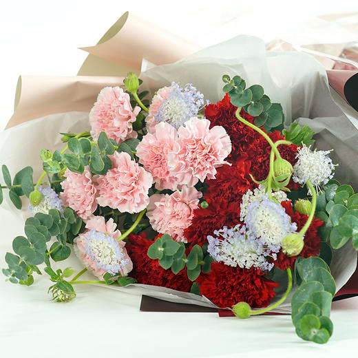 天使之翼丨康乃馨混搭花束 商品图4