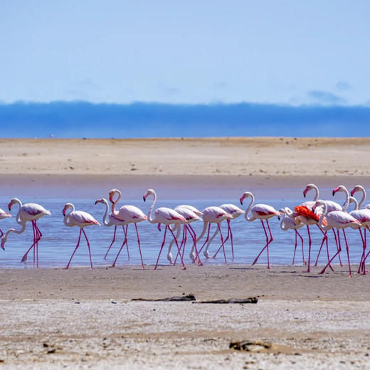 纳米比亚 | 旷野之国9天8晚 商品图6