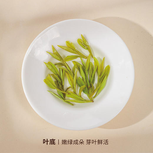 【2025明前春茶】[电商款]龙井绿茶(特级)100g 商品图2