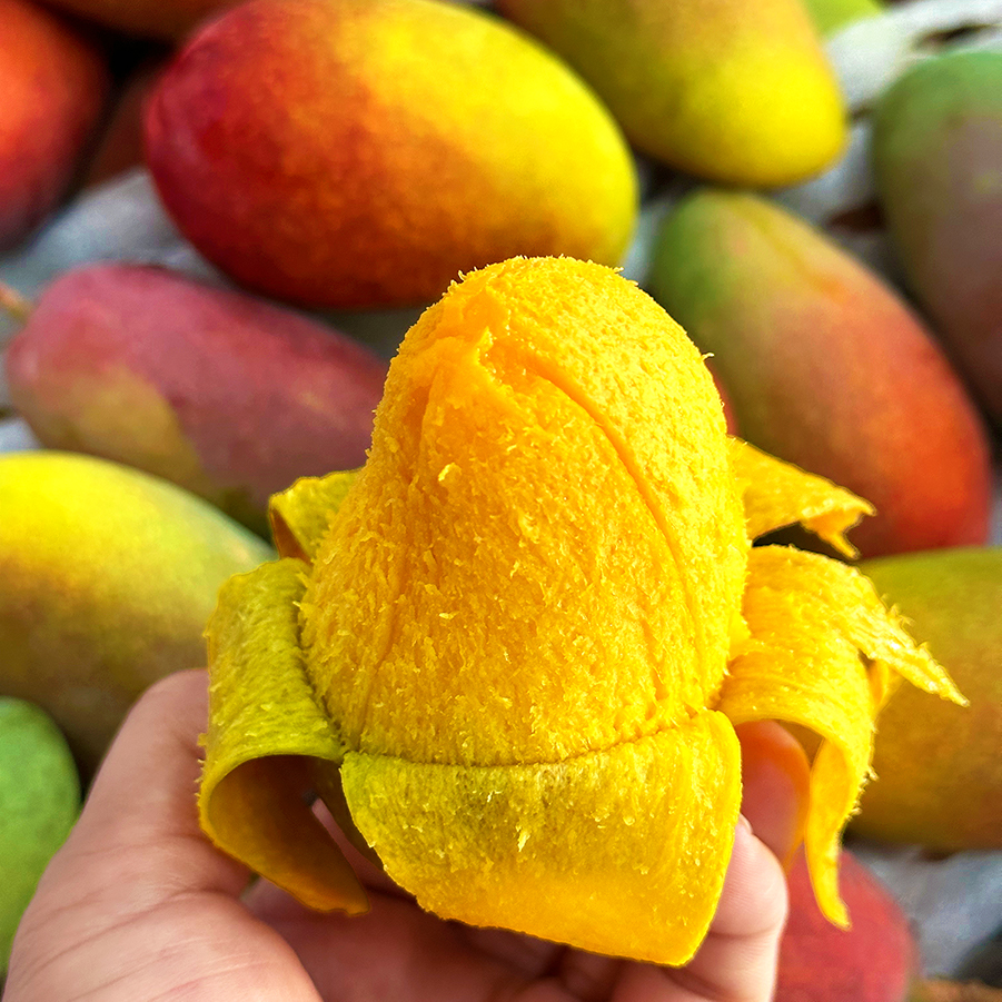 『海南树上熟贵妃芒』香浓奶味，皮薄多汁，柔糯爽口