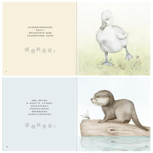 童书《你好！动物宝宝》（共6册）-分销 商品图6
