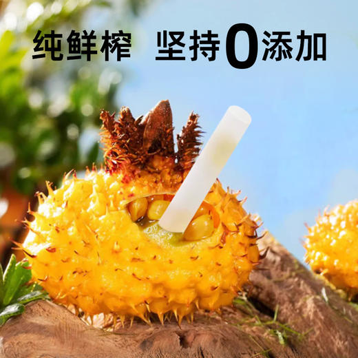 【真0添加】小刺头刺梨原汁30ml*7袋/盒VC爆棚鲜果纯榨取 商品图3