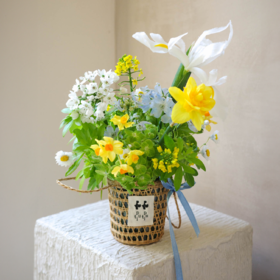 花涧汀响 Sound of the Spring