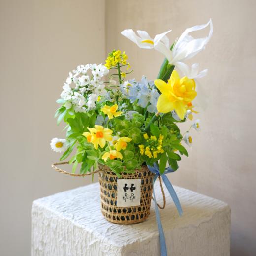 花涧汀响 Sound of the Spring 商品图0